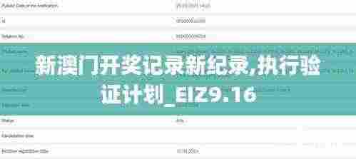 新澳门开奖记录新纪录,执行验证计划_EIZ9.16
