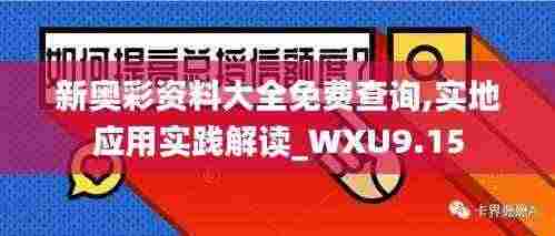 新奥彩资料大全免费查询,实地应用实践解读_WXU9.15