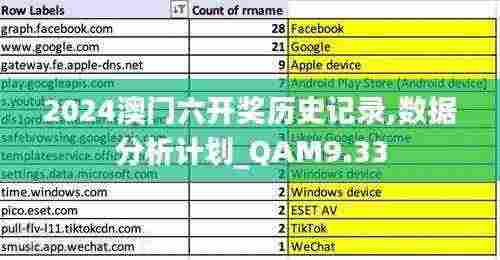 2024澳门六开奖历史记录,数据分析计划_QAM9.33