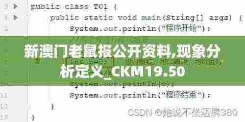 新澳门老鼠报公开资料,现象分析定义_CKM19.50