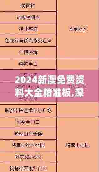 2024新澳免费资料大全精准板,深入挖掘解释说明_BWL9.12
