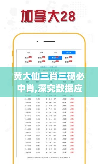黄大仙三肖三码必中肖,深究数据应用策略_KYP9.65