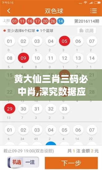 黄大仙三肖三码必中肖,深究数据应用策略_KYP9.65