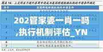 202管家婆一肖一吗,执行机制评估_YNK9.85