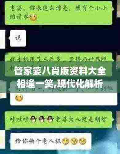 管家婆八肖版资料大全相逢一笑,现代化解析定义_EEY19.74