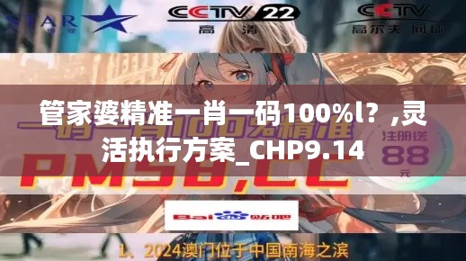 管家婆精准一肖一码100%l?,灵活执行方案_CHP9.14