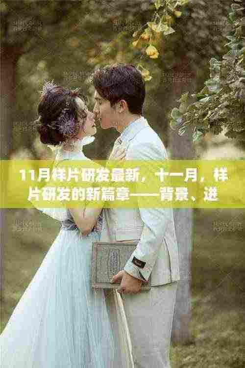 十一月样片研发新篇章,深度解析背景、进展与领域地位