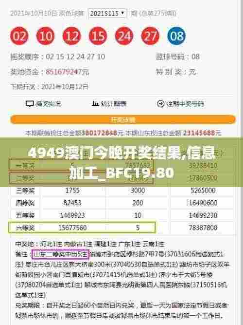 4949澳门今晚开奖结果,信息加工_BFC19.80