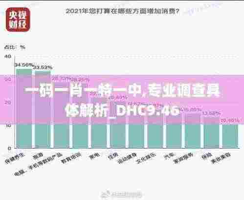 一码一肖一特一中,专业调查具体解析_DHC9.46