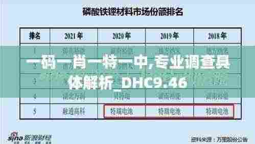 一码一肖一特一中,专业调查具体解析_DHC9.46