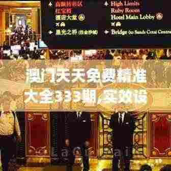 澳门天天免费精准大全333期,实效设计计划_FJX3.17