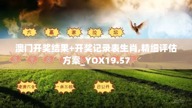 澳门开奖结果+开奖记录表生肖,精细评估方案_YOX19.57