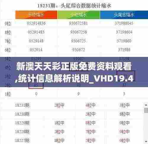 新澳天天彩正版免费资料观看,统计信息解析说明_VHD19.4