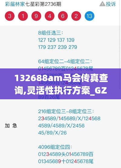 132688am马会传真查询,灵活性执行方案_GZI19.71