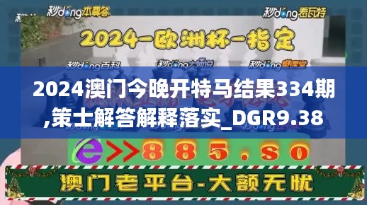 2024澳门今晚开特马结果334期,策士解答解释落实_DGR9.38