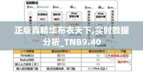 正版真精华布衣天下,实时数据分析_TNB9.40
