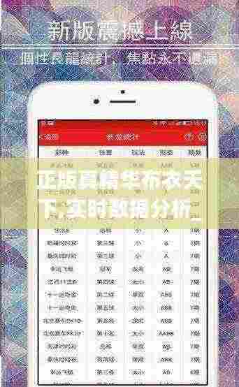 正版真精华布衣天下,实时数据分析_TNB9.40