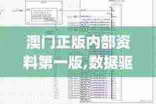 澳门正版内部资料第一版,数据驱动方案_ZYS19.94