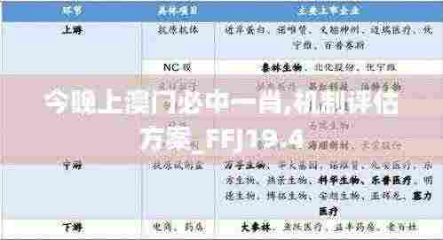 今晚上澳门必中一肖,机制评估方案_FFJ19.4