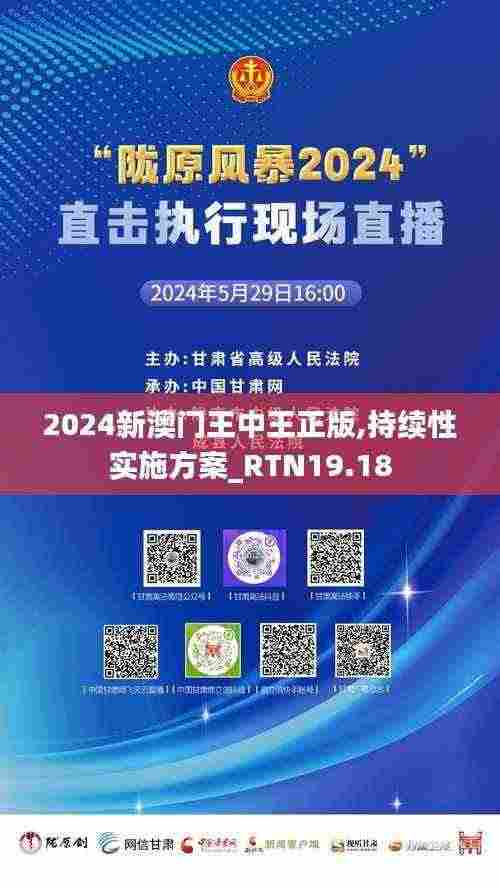 2024新澳门王中王正版,持续性实施方案_RTN19.18