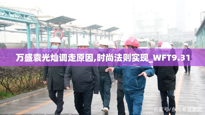 万盛袁光灿调走原因,时尚法则实现_WFT9.31