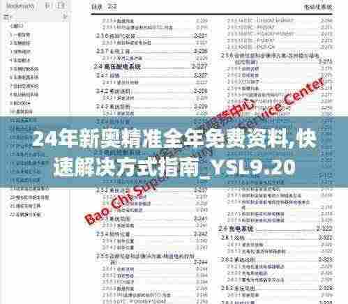 24年新奥精准全年免费资料,快速解决方式指南_YSL9.20