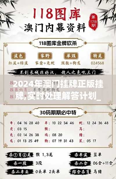 2024年澳门挂牌正版挂牌,实时处理解答计划_MGR9.51