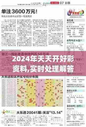 2024年天天开好彩资料,实时处理解答计划_PPB19.5