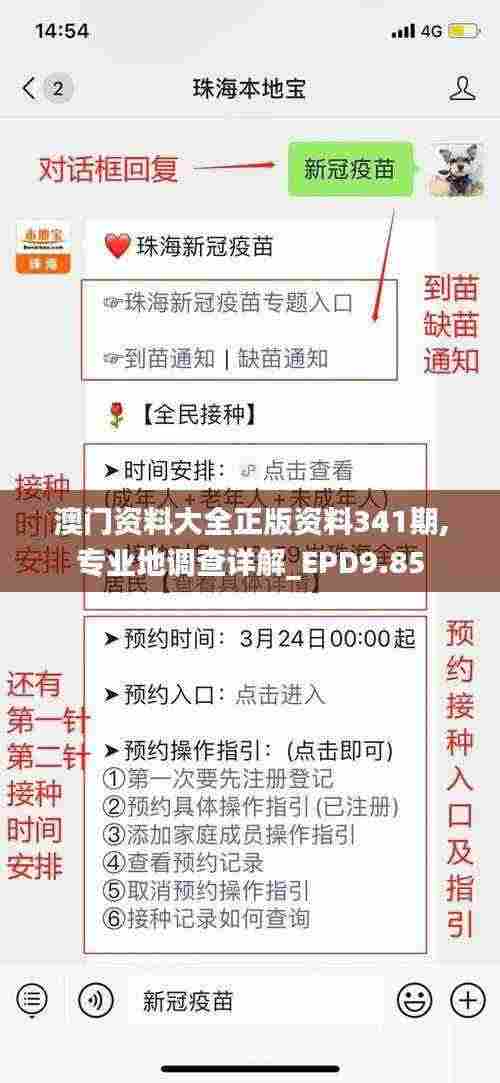 澳门资料大全正版资料341期,专业地调查详解_EPD9.85