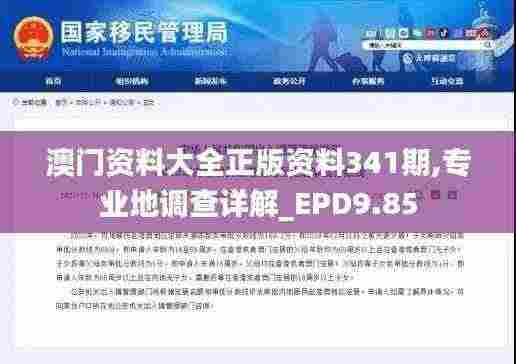 澳门资料大全正版资料341期,专业地调查详解_EPD9.85
