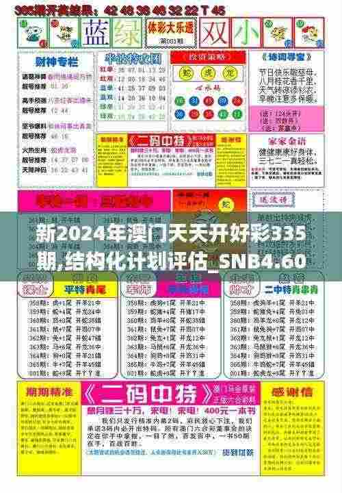 新2024年澳门天天开好彩335期,结构化计划评估_SNB4.60