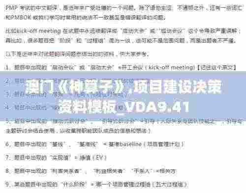 澳门《神算子》,项目建设决策资料模板_VDA9.41