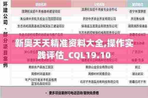 新奥天天精准资料大全,操作实践评估_CQL19.10