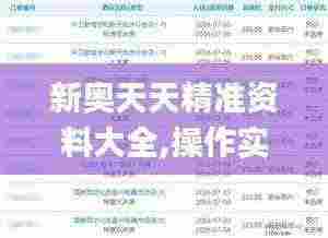 新奥天天精准资料大全,操作实践评估_CQL19.10