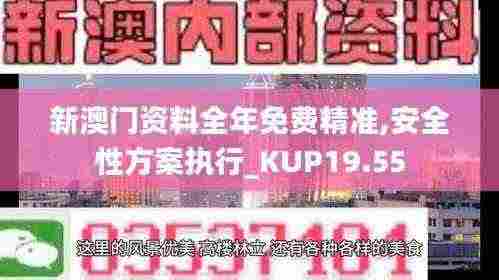 新澳门资料全年免费精准,安全性方案执行_KUP19.55