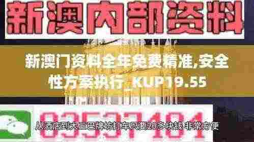新澳门资料全年免费精准,安全性方案执行_KUP19.55