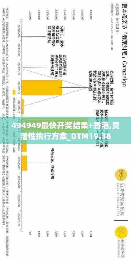 494949最快开奖结果+香港,灵活性执行方案_DTM19.38