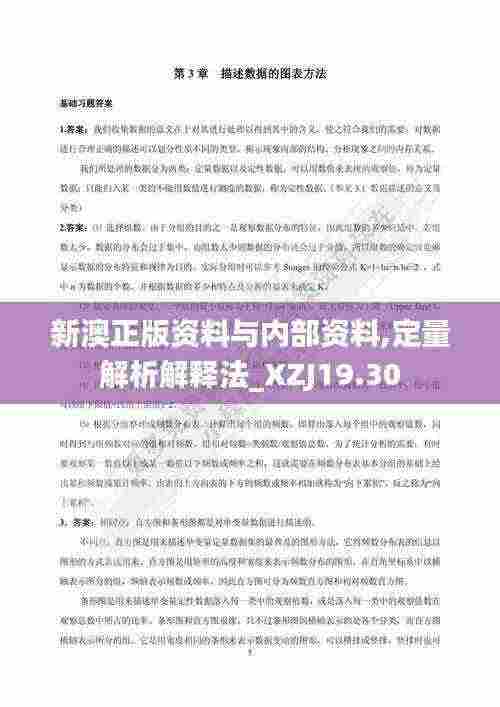 新澳正版资料与内部资料,定量解析解释法_XZJ19.30