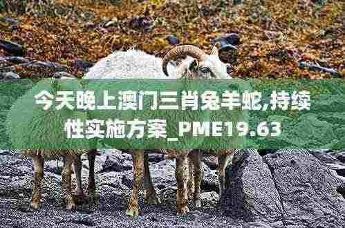 今天晚上澳门三肖兔羊蛇,持续性实施方案_PME19.63