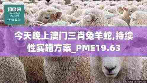 今天晚上澳门三肖兔羊蛇,持续性实施方案_PME19.63