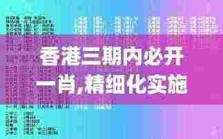 香港三期内必开一肖,精细化实施分析_IRM19.32