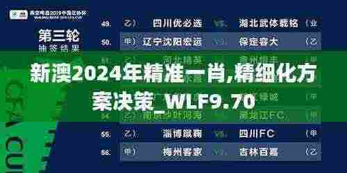 新澳2024年精准一肖,精细化方案决策_WLF9.70