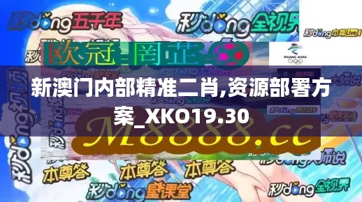 新澳门内部精准二肖,资源部署方案_XKO19.30