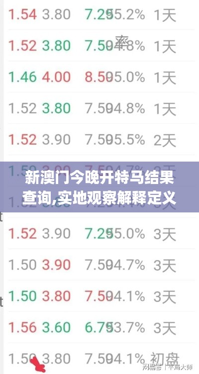 新澳门今晚开特马结果查询,实地观察解释定义_TML19.54