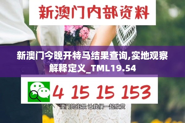 新澳门今晚开特马结果查询,实地观察解释定义_TML19.54