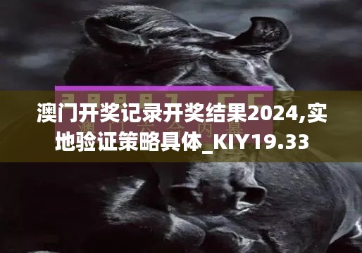 澳门开奖记录开奖结果2024,实地验证策略具体_KIY19.33
