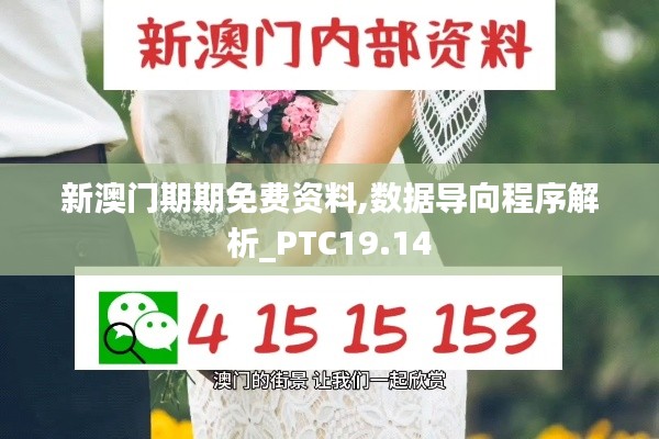 新澳门期期免费资料,数据导向程序解析_PTC19.14