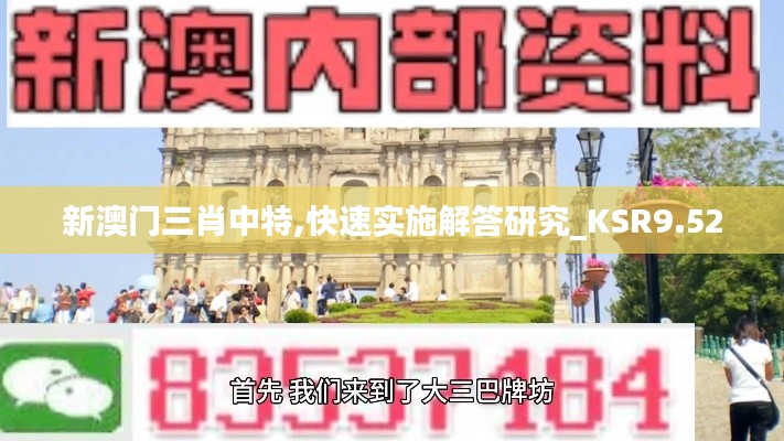 新澳门三肖中特,快速实施解答研究_KSR9.52