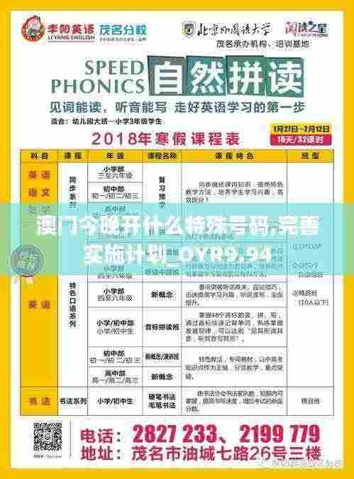 澳门今晚开什么特殊号码,完善实施计划_OYR9.94
