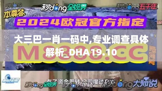 大三巴一肖一码中,专业调查具体解析_DHA19.10